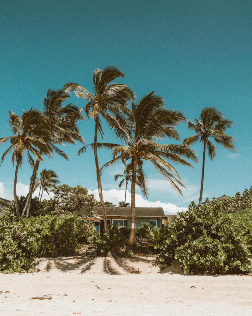 Casa de praia entre coqueiros